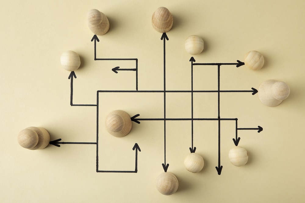 Branching Logic Improve Survey Data & Accuracy Fast
